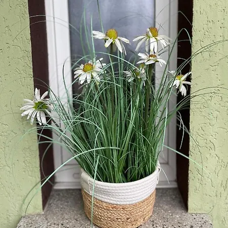 Fuchsbau Hotel Jüterbog