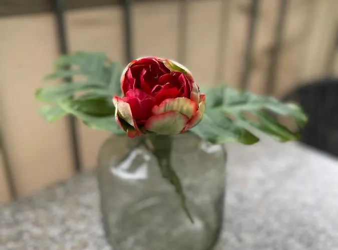 Hotel Fuchsbau Jüterbog